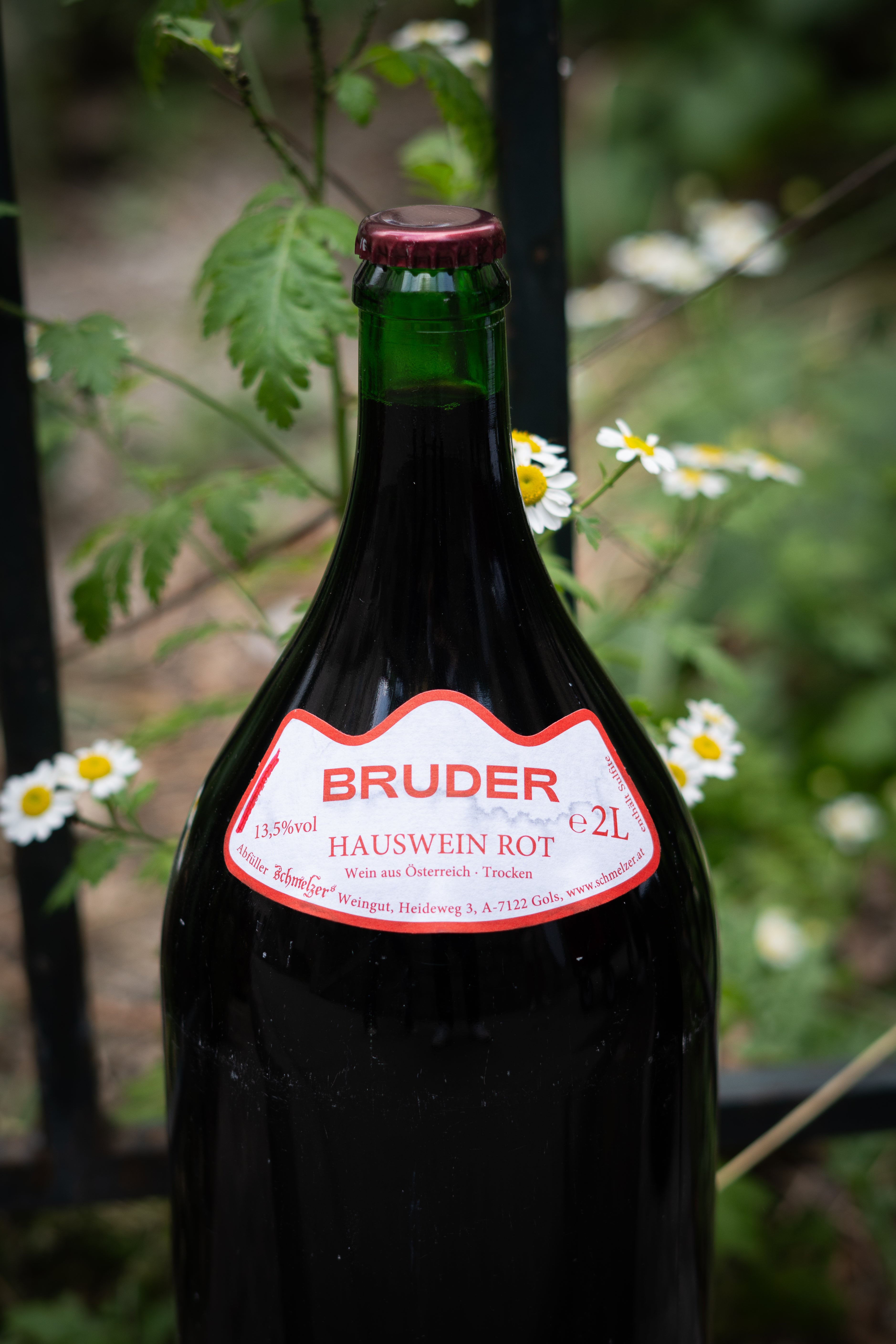 Doppler Bruder Rot