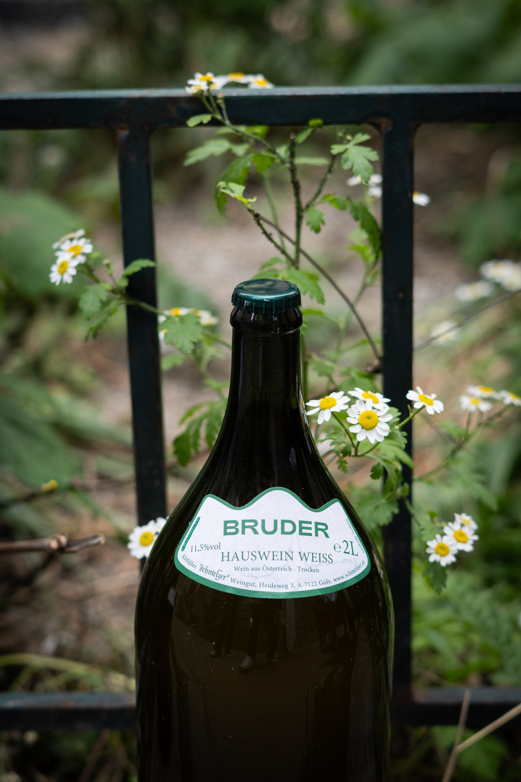 Doppler Bruder Weiß